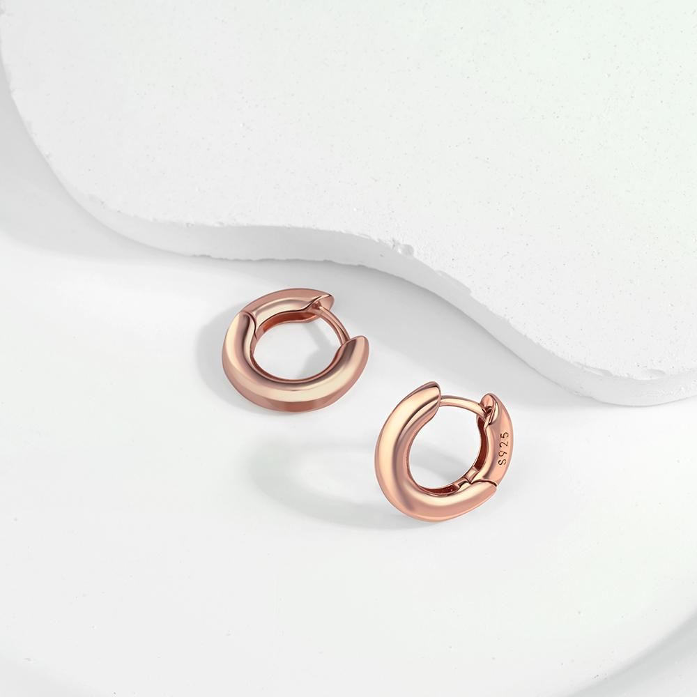 Fine Rose Gold Round Hoop Earrings for Women Trendy Styles Genuine Copper Color Simple Gold Earrings Fashion Weddings Zircon