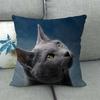 Fashionable cats and cute pet animals Digital printing short plush pillow covers for car sofa office cushion cover home goods