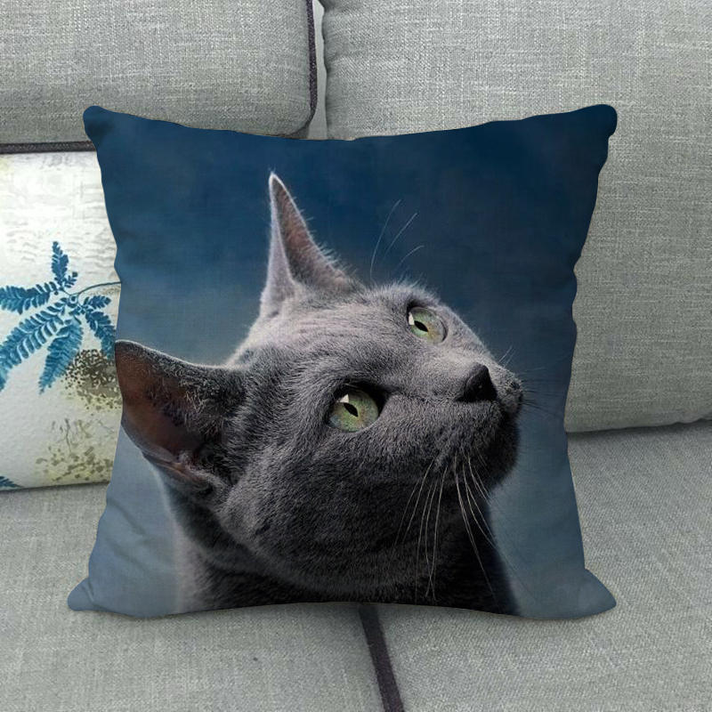 Fashionable cats and cute pet animals Digital printing short plush pillow covers for car sofa office cushion cover home goods
