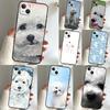 Bichon Frise Dog Puppy For Samsung Galaxy M56 M36 M16 M31 M11 M13 M53 M12 M32 M52 M35 M55 M15 M14 M34 M54 M06 Case