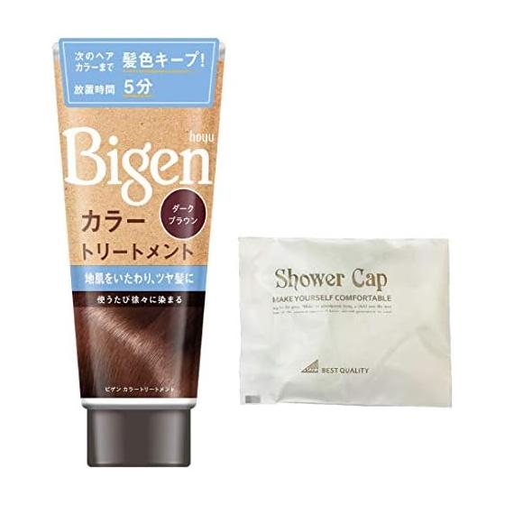 Hoyu Bigen Color Treatment DBR (Dark Brown) 180g + Bonus Gray Hair Dye for Gray Hair