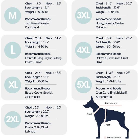 IECOii Male Dog Sweater,Thick Knitted Dog Sweaters for Small Medium Dogs Boy,Mid Neck Knitwear Extra Warm Pullover for Cold Weather,Cozy & Stretchy