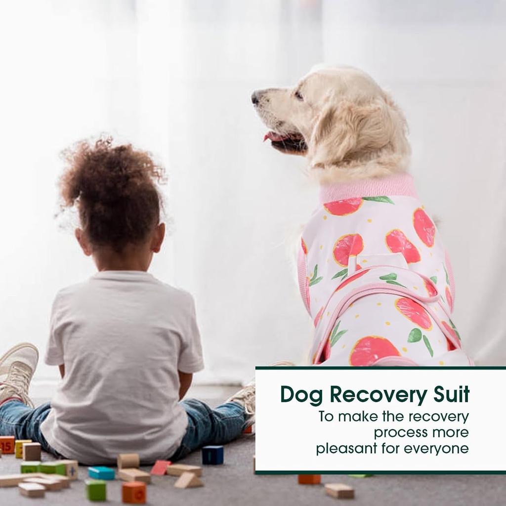 Kuoser Recovery Suit for Dogs Cats After Surgery, Professional Pet Recovery Shirt Dog Abdominal Wounds Bandages, Substitute E-Collar & Cone,Prevent