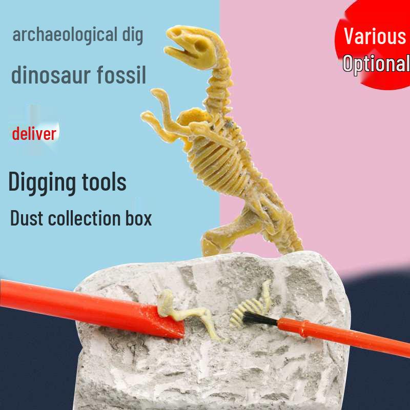 Fun Dinosaur Fossil Science Kit for Kindergarten - Hands-on Archaeological Experiment Materials & Teaching Aids