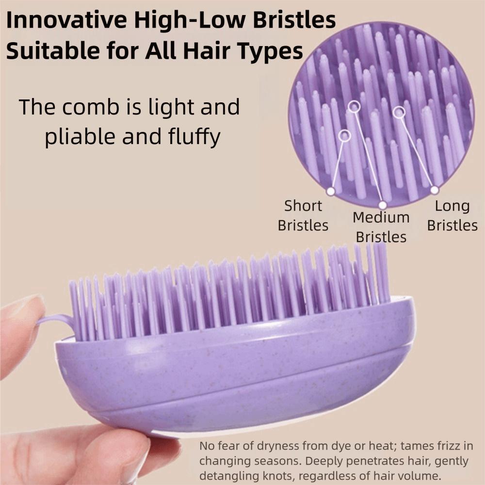 T/Egg Shape Hair Styling Brush Set Anti-Static Salon Hair Styling Tools  Pet Grooming
