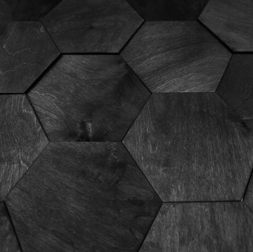 Black hexagon plywood 1 PCS Hexagon wall panel for a child's room