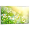 GLASS PROTECTIVE PLATE FOR STOVE 80x52 FLOWERS