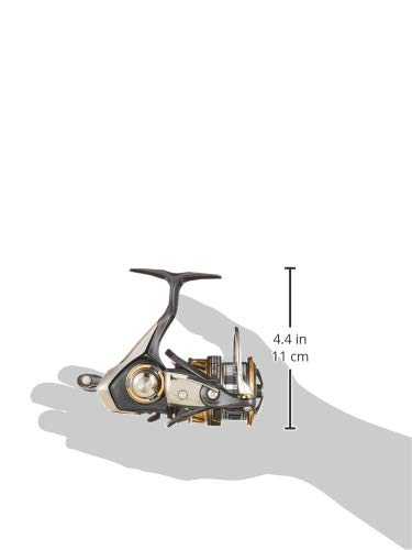 DAIWA Spinnrolle 18 Regalis LT3000S-C-DH (Modell 2018)