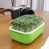 1Pcs Double Layer Germination Tray Plastic High Ventilation Hydroponic Planting Tray Cultivation Pot Grid Design Sprout Tray
