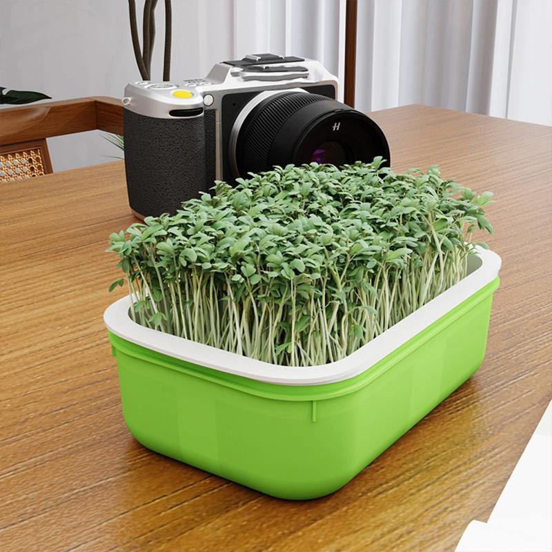 1Pcs Double Layer Germination Tray Plastic High Ventilation Hydroponic Planting Tray Cultivation Pot Grid Design Sprout Tray