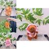 Adorable Plush Capybara Doll Keychain With Colorful Hoodie Perfect For Gifts