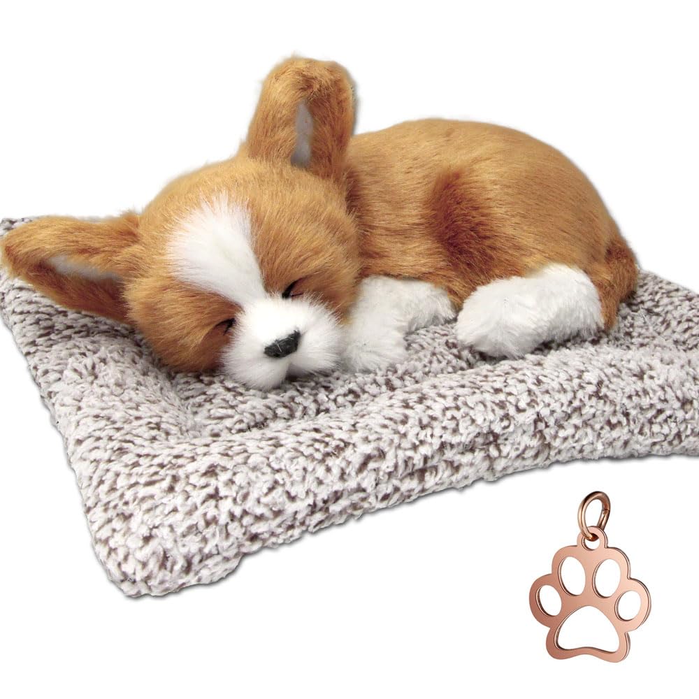 

TATOTTE Собака Сшитая Обертка, Реалистичная Фигурка Спящей Собаки с Активированным Углем, Успокаивающий Декор (Чихуахуа BR K)