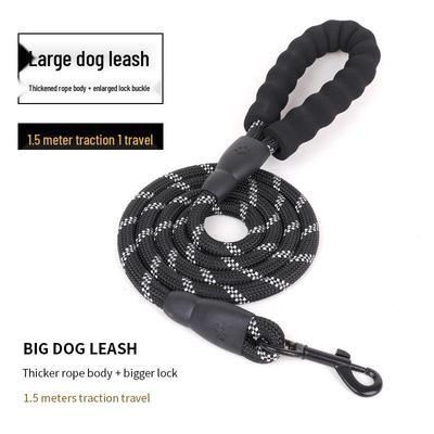 Cani – Collari e guinzagli per cani