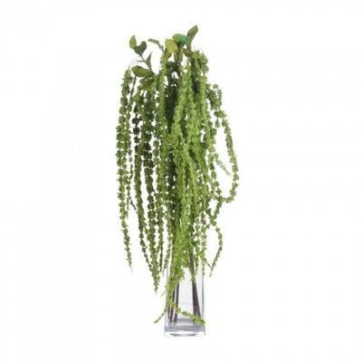 False Amaranthus