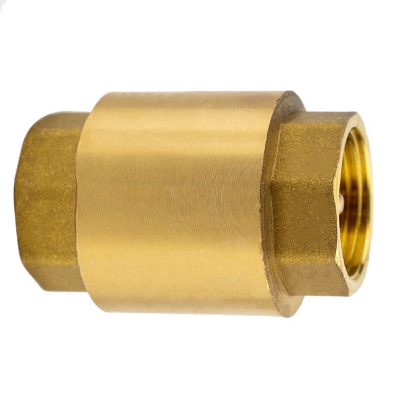 Haisidick GNJZ-631 Vertical Brass Spring Check Valve