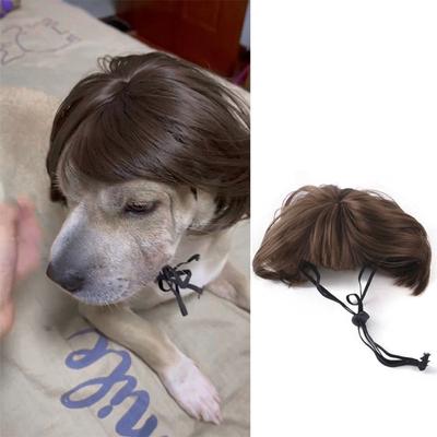 Accesorios para la cabeza Pelucas para mascotas Accesorios de fotografía Perro Gato Travesti Pelo Disfraz de mascota Halloween