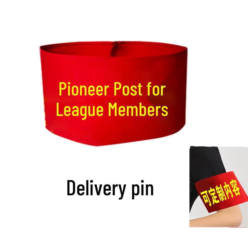 Red Armband & Sleeve Badge Pin Set