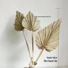 High-End Wabi-Sabi Dried Flower Decor: Natural Reeds & Wheat for Living Room or Homestay.
