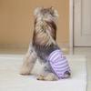 Soft Period Pants Pantie Soft Nappies Suspender for Girls Dog Reusable Doggies Period Diaper Incontinence
