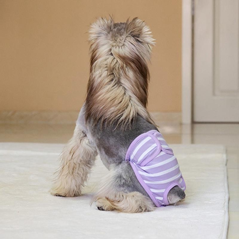 Soft Period Pants Pantie Soft Nappies Suspender for Girls Dog Reusable Doggies Period Diaper Incontinence