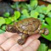 Mini Sea Turtle Figurine for Garden, Aquarium, and Rockery Decorations