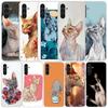 Lavaza Sphynx Sphinx Cat Phone Case For Samsung Galaxy A17 A37 A57 A16 A15 A14 A13 A56 A55 A54 A53 A36 A35 A34 A33 A26 A25 A24 A