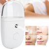 USB Charging Portable Face Moisturizing Spray Handheld Mist Sprayer Beauty Machine