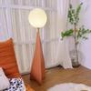 OEING Modern LED Floor Lamp