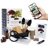 Gardening Kit - CULTIVEA - Premium Bonsai - Ready To Grow - Tools Included - Support E-book