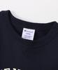 Champion Basic Short Sleeve USA Crew Men's T-Shirt, Navy, 100% Cotton, Print, Neck, C3-B344