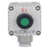 LINCOOS Explosion-Proof Alarm Disarm Switch CN Plug (adapter Included)