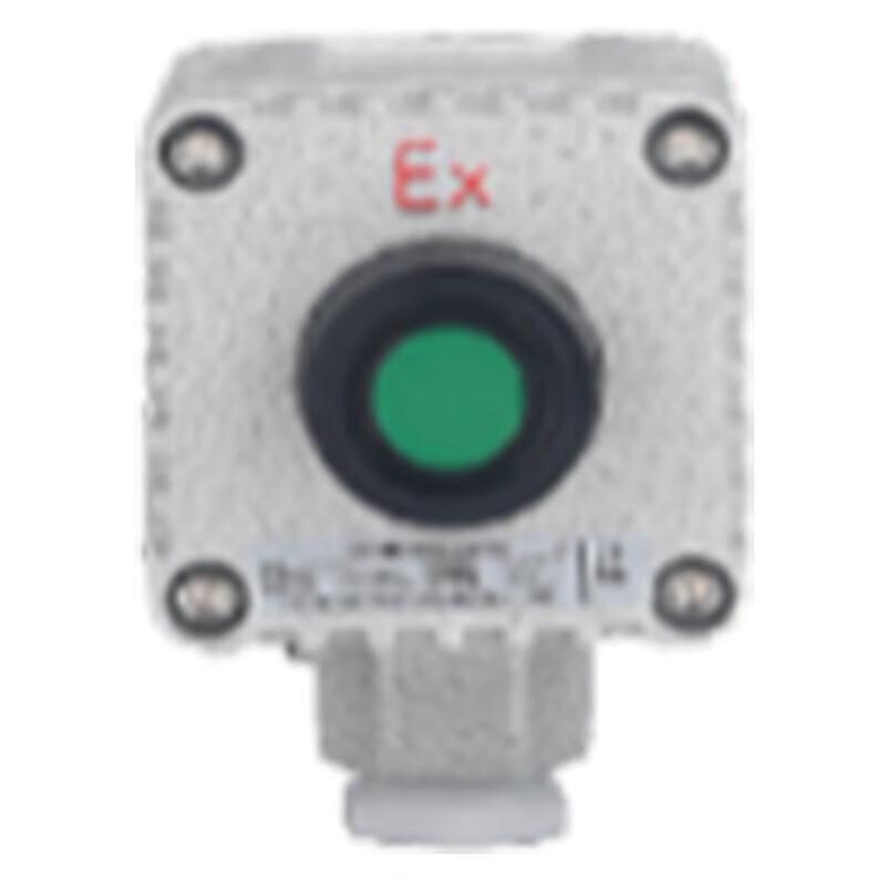 LINCOOS Explosion-Proof Alarm Disarm Switch CN Plug (adapter Included)