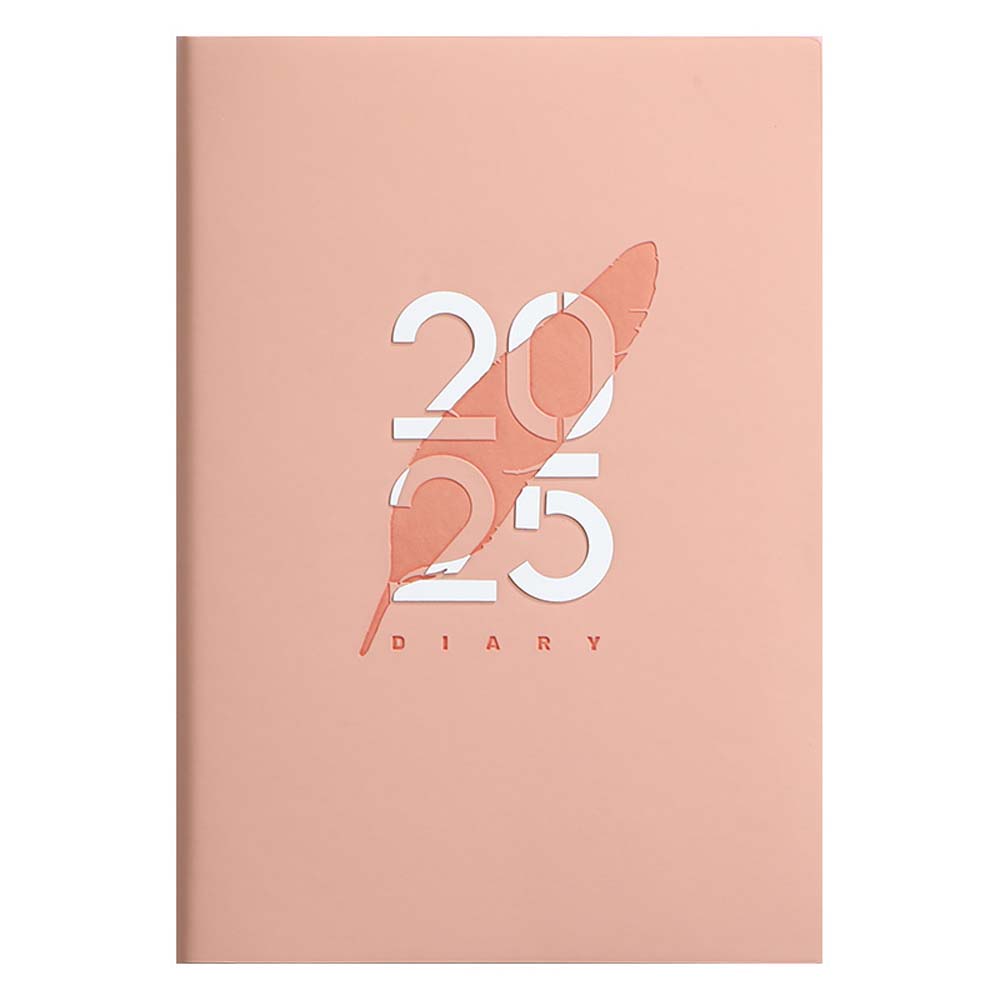 Daily Planner Reminder 2025 Planner Notebook 365 Days 2025 English Agenda Book  Unisex