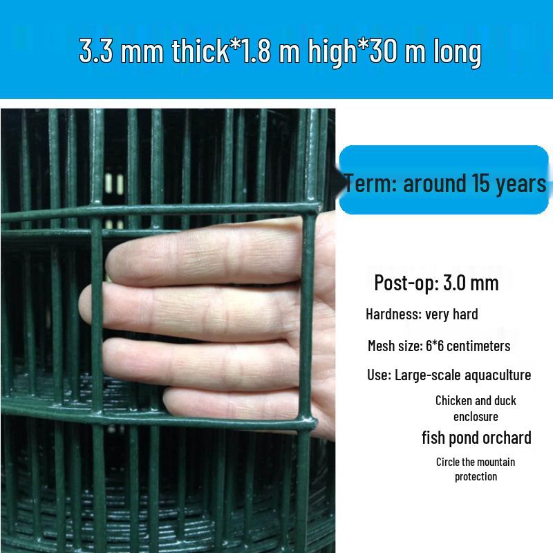 Rustproof Green Plastic-Coated Mesh Wire Fence for Chicken Enclosure
