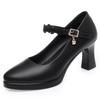 High Heels Platform Pumps 2025 Spring New Fashion High Heels Shoes Woman PU Leather Waterproof Shoes Femme Ladies Office Shoes