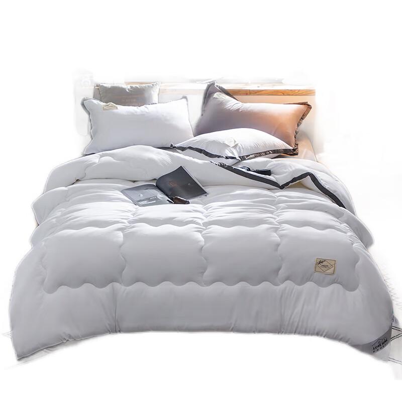 

Chansi Nordic Style Solid Color Winter Quilt