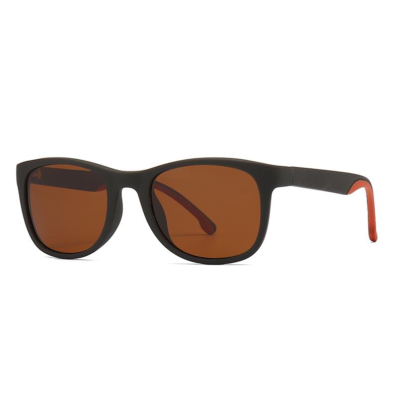 New Rb Classic Retro Square Frame Men'S Sunglasses 2231
