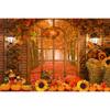 Autumn Forest Window Photography Backdrop Fall Maple Leaves Pumpkin Harvest Thanksgiving Kids Portrait Photo Background Decor