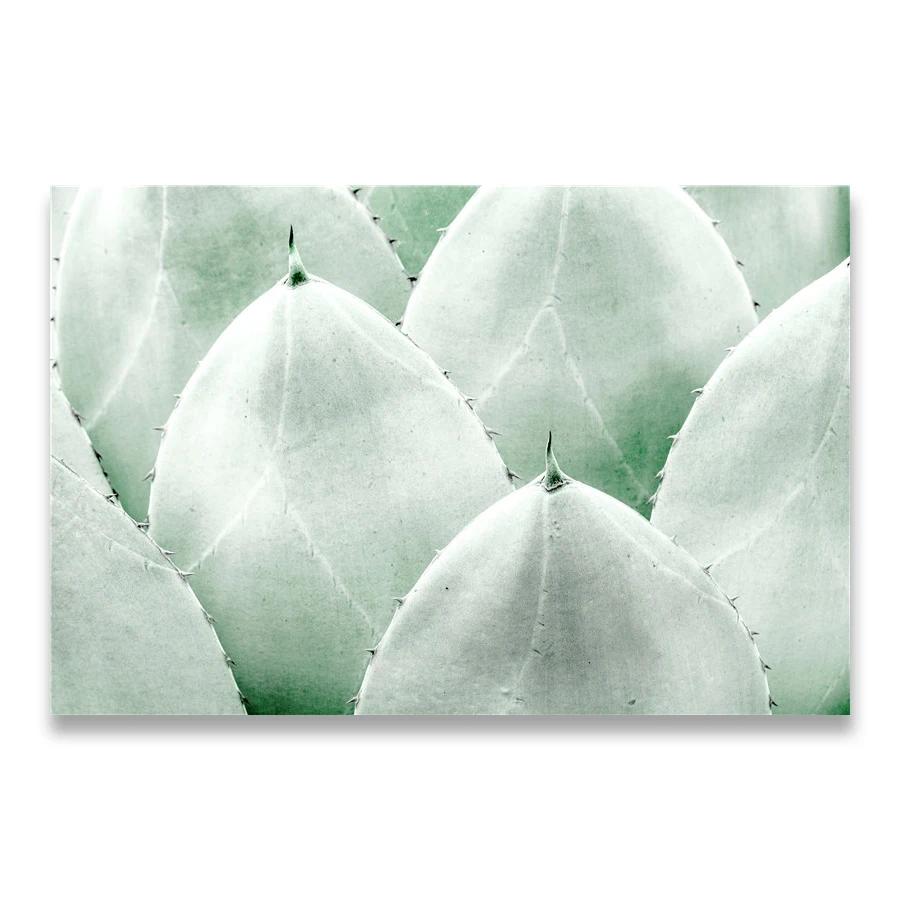 

Зеленое растение абстрактные линии винтажный постер скандинавские постеры и принты настенное искусство холст живопись настенные картины для декора гостиной 21cm×30cm NoFrame