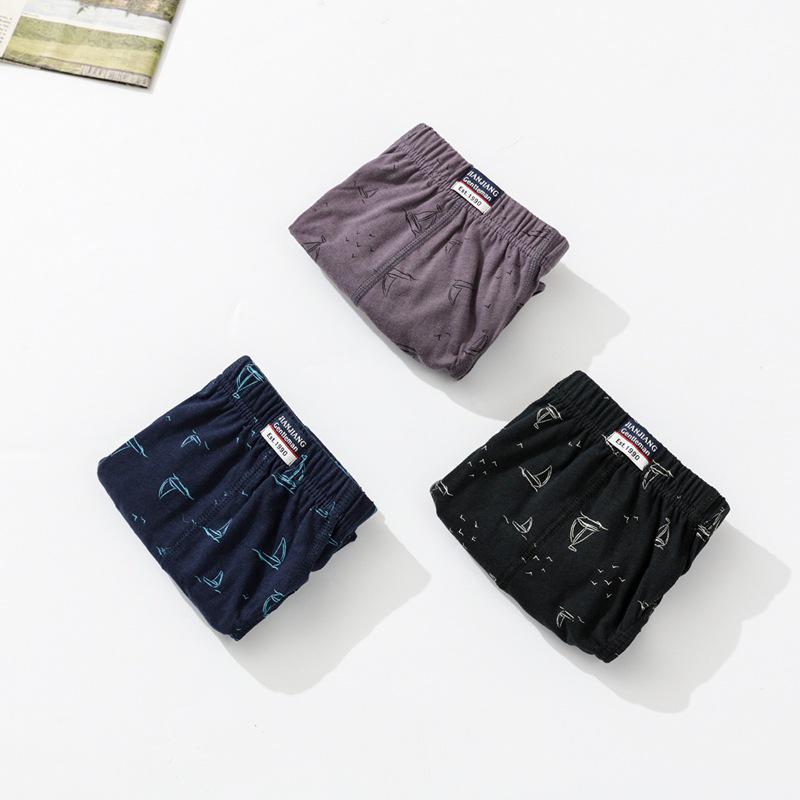 Genuine Jian·Jiang Men's Triangle Briefs - 2 Pack, Pure Cotton, Mid-Waist, Breathable & Comfortable, Bestseller