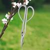 Gardening Shears Flower Branch Scissors Gardening Garden Scissors Stainless Steel Potted Pruning Tool Home Garden Scissors