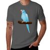 Blue Ringneck Parrot Tshirt All Weather Casual Short Sleeve