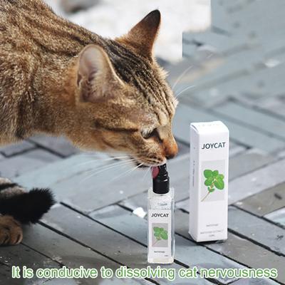 20ML Katzenfreude-Spray, natürliches Material, Kräuter-Katzenminze-Spray, Katzenunterhaltung, Entspannungsspray, Heimtierbedarf