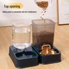 Automatic Double Bowl Pet Feeder: Anti-Spill Cat & Dog Food and Water Bowl Set