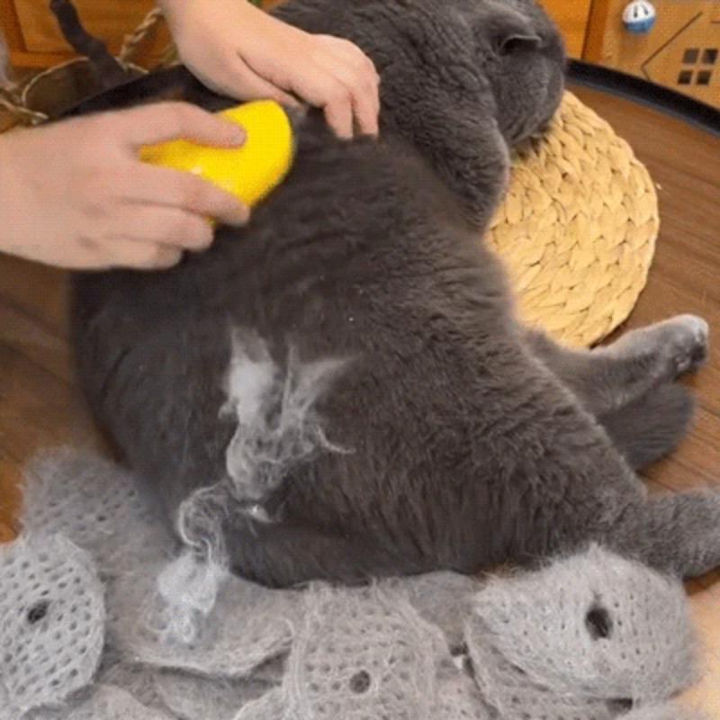 Steamy Cat Brush 3 in 1 Spazzola elettrica anti-schizzi per gatti con spruzzo di vapore per massaggio Pet Grooming Pettine per la rimozione dei peli Pettini Nuovo
