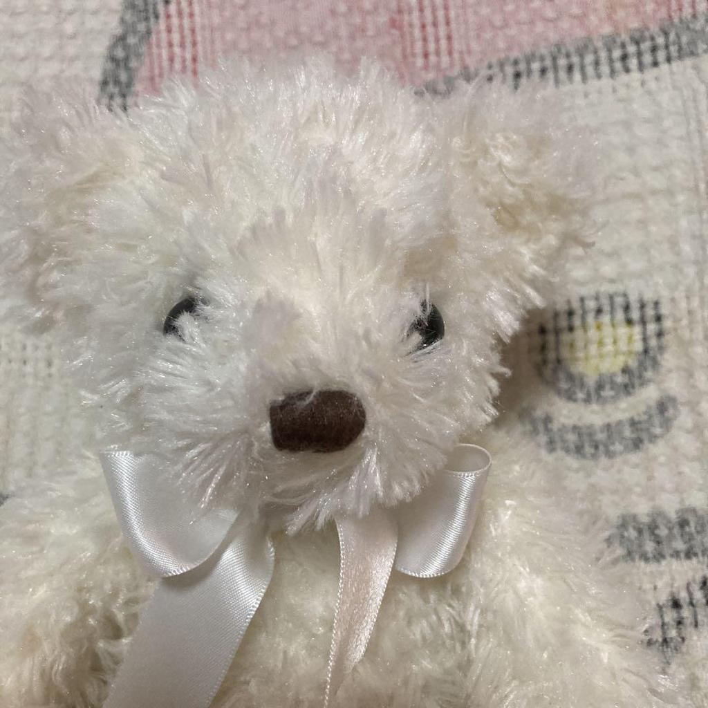 [USED] Used Canal 4℃ Teddy Bear Plush Toy with Music Box