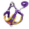 Dog Harness and Leash Set Cat Reflective Faux Suede Puppy Outdoor Pet Escape Proof Yorkie Soft Vest Walking Small Dog Harness
