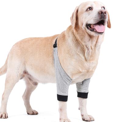 Köpek – Köpek bakım ürünleri