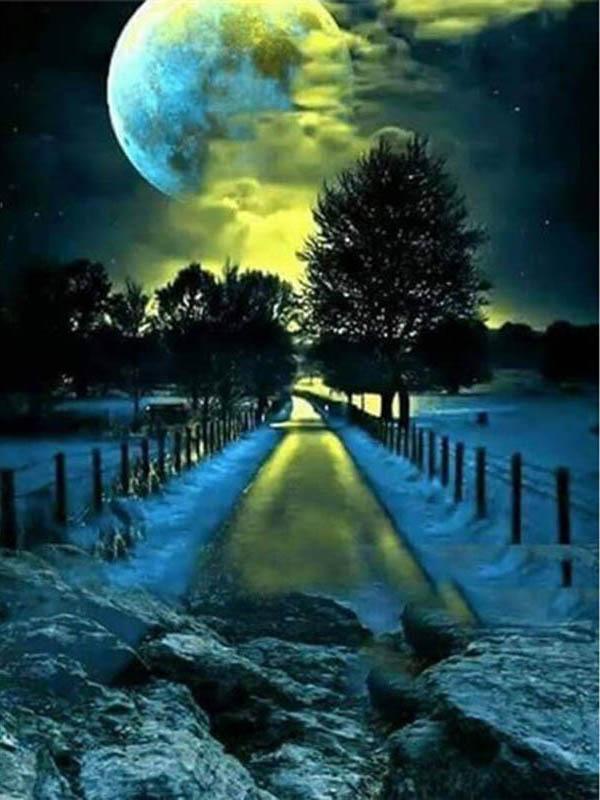 Diamant-Malerei, Mond, voller Bohrer, quadratisch, Diamant-Stickerei, Baum, Perlen, Mosaik, Küstenlandschaft, 5D, DIY-Kunst, Wanddekoration