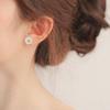 Ladies' Fashion Personalized Flower Earrings 1 Pair